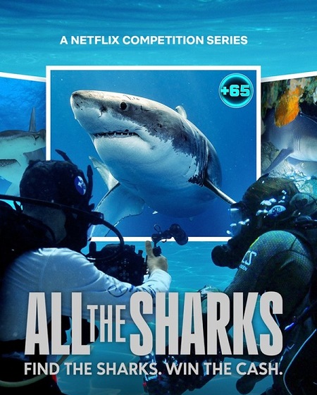 مسلسل All the Sharks  الموسم الاول الحلقة 5 مترجمة