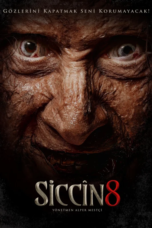Siccin 8 ( 2025 )